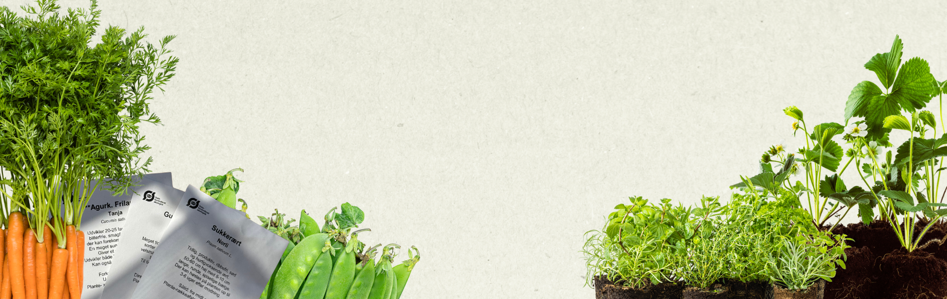 Tid til at sætte de første frø