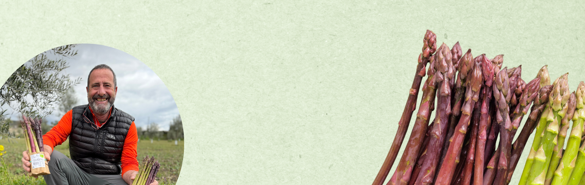 Pepes asparges er landet