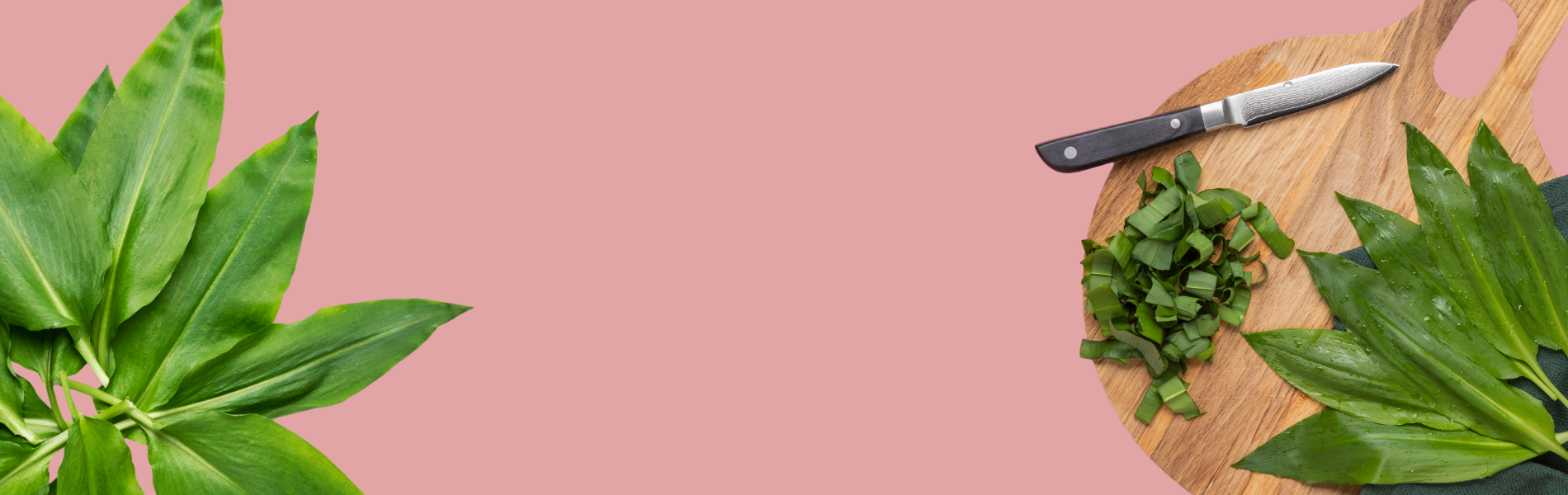 Sæsonens ramsløg er her